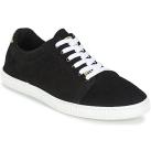 Image of Baskets basses Chipie JERBY