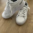 Image of Baskets basses enfant Puma Basket puma fille