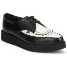 Image of Derbies TUK POINTED CREEPER