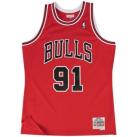 Image of Secteur médical / alimentaire Mitchell And Ness Maillot NBA Dennis Rodman Chic